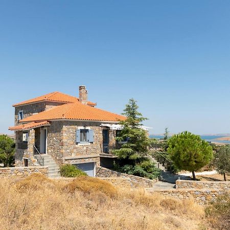 Villa Horizon, Portianou Pedhinon エクステリア 写真